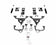 files/IHC-F1010-CK-scaled.jpg