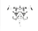files/IHC-F1011-CK-CCD-600x479.png